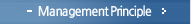 Management Principle